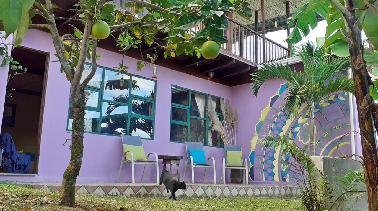 Montana Linda Guest House Orosi Orosí Exterior foto